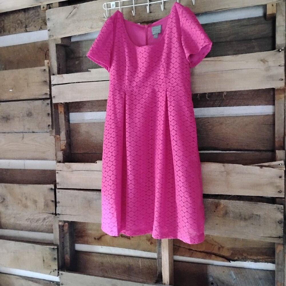 Barbie Pink Lace Formal Midi Fit n Flare Dress Size 6 Rabbit Rabbit